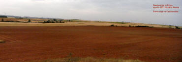 ag2011 Tierra 'roja' de Castro-rubio .JPG (81771 bytes)